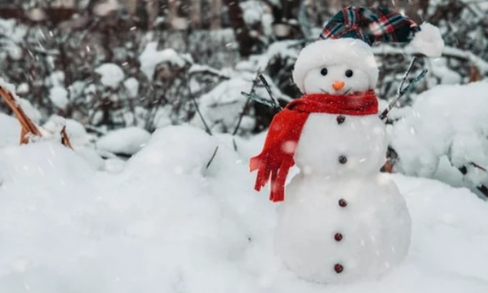 Puzzle Je supporte bien l'écharpe - Paysages & Fleurs - Absolu Puzzle