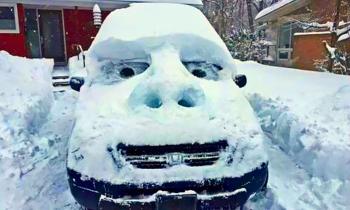 Puzzle 14597 - un visage dans la neige