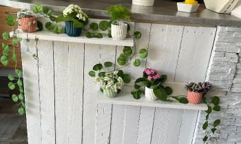 Puzzle 14327 - déco de plante