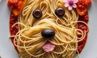 Puzzle Tableau de spaghettis