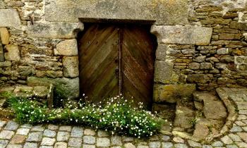 Puzzle 12383 - porte ancienne