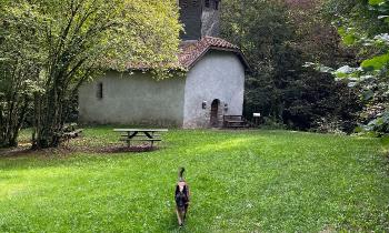 Puzzle 11901 - promenade de sultan