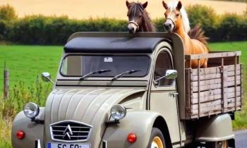Puzzle 11630 - deux chevaux dans une 2 CV
