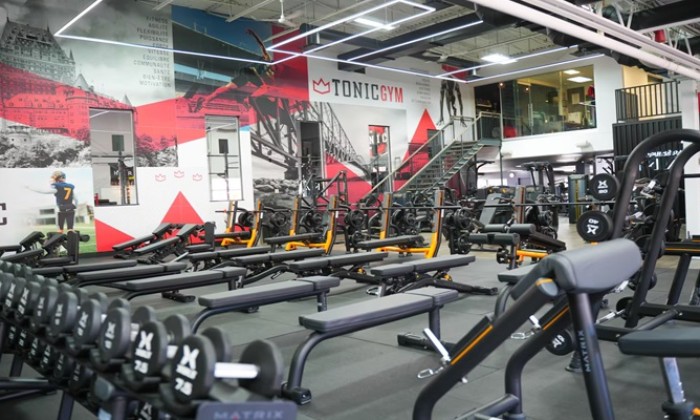 Puzzle Tonic Gym
