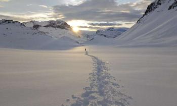 Puzzle 14160 - Rando blanche