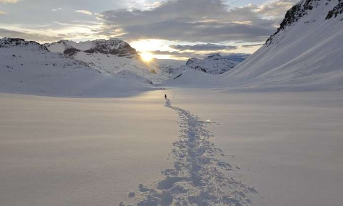 Puzzle Rando blanche - Paysages & Fleurs - Absolu Puzzle