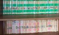 Puzzle Bibliothèque  Ancienne