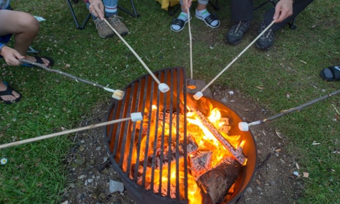 Puzzle FEUX DE CAMP - Divers - Absolu Puzzle