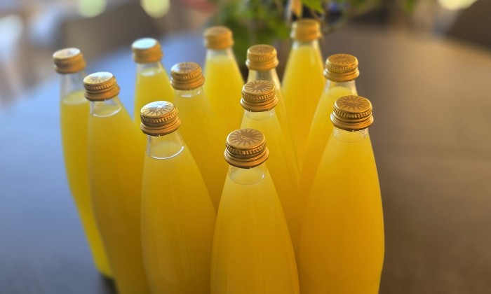 Cliquez pour agrandir la photo Puzzle Limoncello maison - Cuisine & Gastronomie - Absolu Puzzle