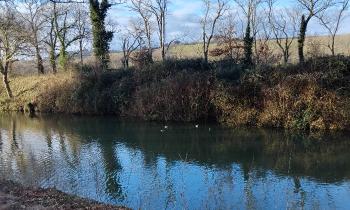 Puzzle 12388 - Canal du midi