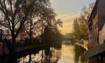 Puzzle 11831 - L'Ill à Strasbourg