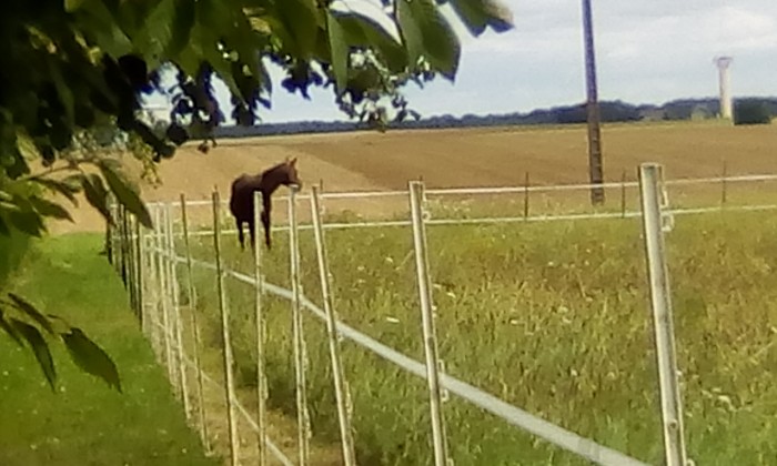 Puzzle repos dans la campagne