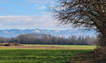 Puzzle 13103 - paysage  au petit matin