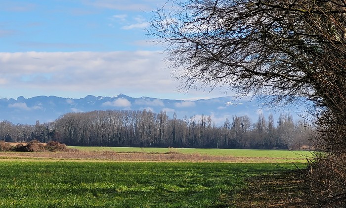 Puzzle paysage  au petit matin