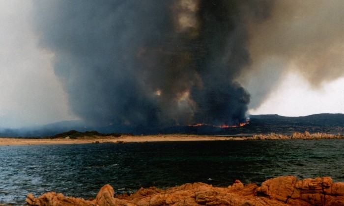 Puzzle incendie maquis corse