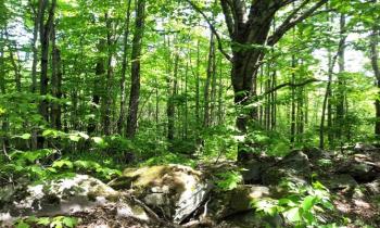 Puzzle 12445 - réserve naturelle