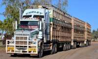 Puzzle KENWORTH