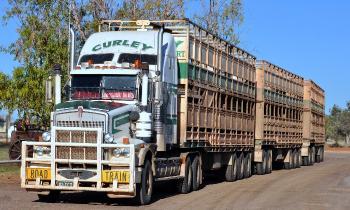 Puzzle 14020 - KENWORTH