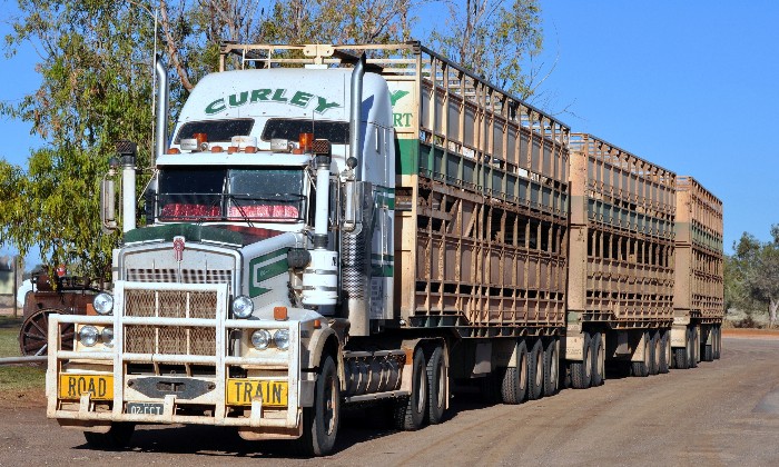 Cliquez pour agrandir la photo Puzzle KENWORTH - Véhicules & Motos - Absolu Puzzle