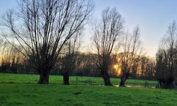 Puzzle 12695 - coucher de soleil en hiver