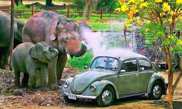 Puzzle car wash gratuit - Véhicules & Motos - Absolu Puzzle