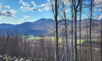 Puzzle Le massif forestier
