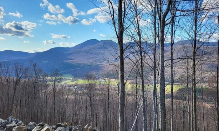 Puzzle Le massif forestier