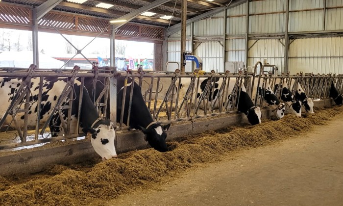 Puzzle Heure du repas à la ferme - Animaux - Absolu Puzzle