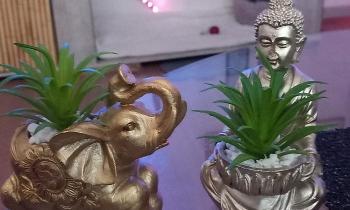 Puzzle 12816 - Zen