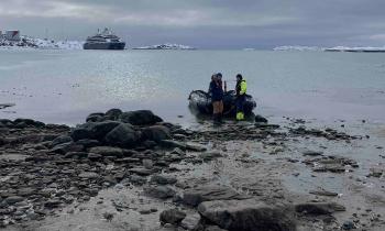 Puzzle 14207 - débarquement glacial