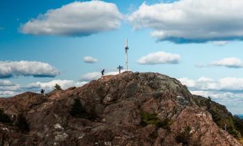 Puzzle 14578 - Le parc du Mont-Ham