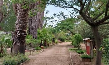 Puzzle 12806 - Parc botanique