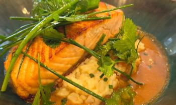 14206 | Assiette de saumon - 