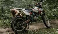 Puzzle Moto cross dirt bike