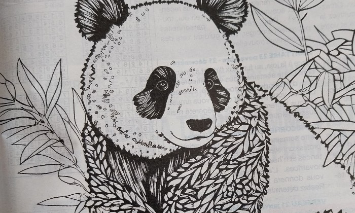 Puzzle Panda