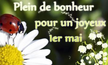 Puzzle 12564 - La fête des clochettes