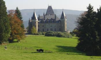 Puzzle 12753 - Château de Stoumont
