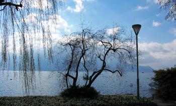 Puzzle 13999 - Lac Léman