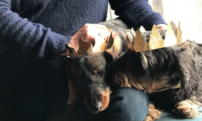 Puzzle on Ne veut pas de COURONNE