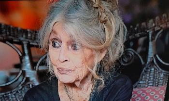 Puzzle 12771 - Brigitte Bardot