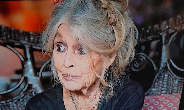 Puzzle Brigitte Bardot