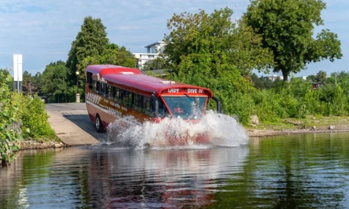 Puzzle L amphibus Lady Dive