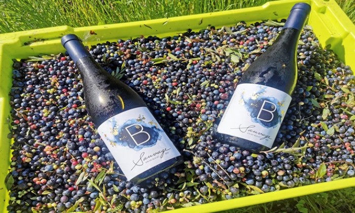 Puzzle Le vin B Sauvage - Divers - Absolu Puzzle