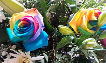 Puzzle 14348 - Roses