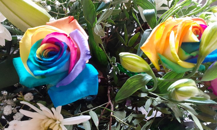 Puzzle Roses - Paysages & Fleurs - Absolu Puzzle