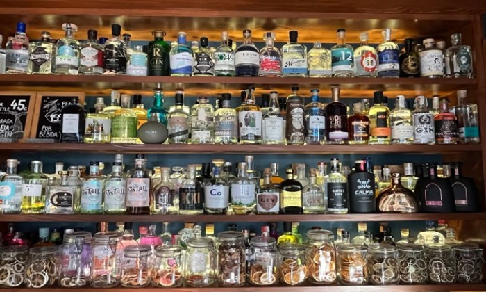 Puzzle Gin Library de Ponta Delgada