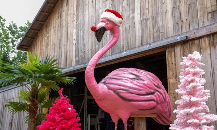 Puzzle Flamants et Sapins roses - Divers - Absolu Puzzle