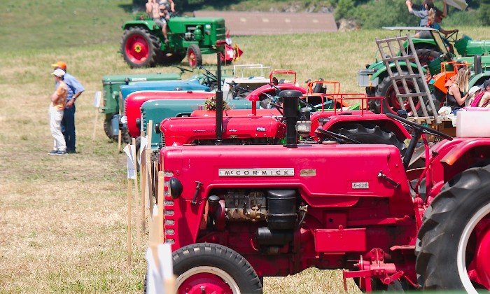 Puzzle Tracteurs vintage - Véhicules & Motos - Absolu Puzzle