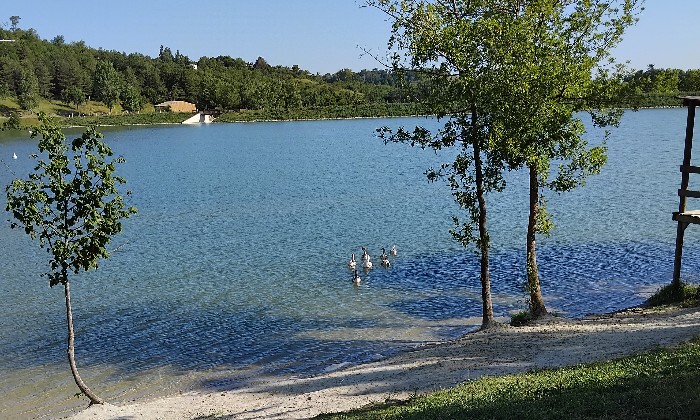 Puzzle Lac de la Thesauque - Paysages & Fleurs - Absolu Puzzle