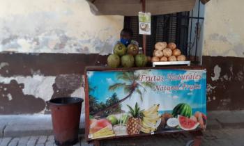 Puzzle 14978 - Echoppe de fruits